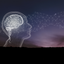 Novel Neurocosmetics: Understanding the skin-brain axis’ influence on cosmetics