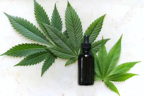 What is CBD Oil?